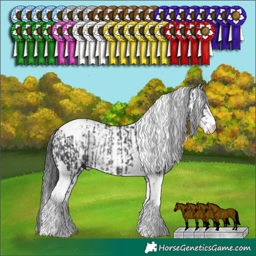 Horse Color:Black Sabino Tobiano Rabicano  and Black Sabino Rabicano 