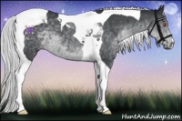 Horse Color:Silver Black Chinchilla Tobiano 
