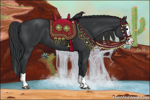 Horse Color:Black Splash 