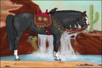 Horse Color:Black Splash 