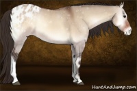 Horse Color:Bay Onyx Varnish 