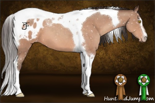 Horse Color:Amber Champagne Sabino Tobiano Blanket