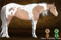 Horse Color:Amber Champagne Sabino Tobiano Blanket 