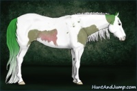 Horse Color:Watercolor Brown Splash Tobiano Appaloosa 