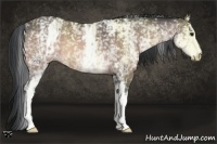Horse Color:Platinum White Spotted Bay