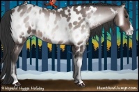 Horse Color:Platinum Bay Onyx Appaloosa 