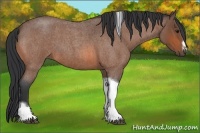 Horse Color:Bay Roan Tobiano Frame 