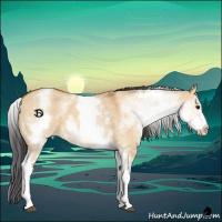 Horse Color:White Spotted Bay Dun