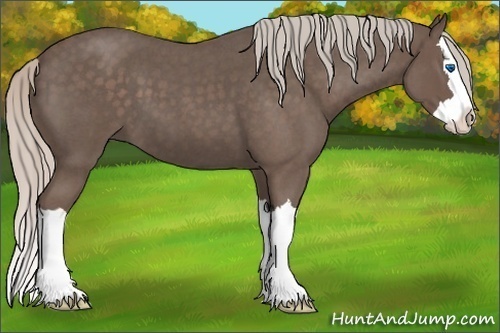 Horse Color:Silver Blue Roan Splash 