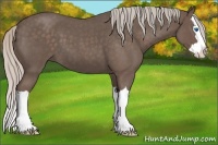 Horse Color:Silver Blue Roan Splash