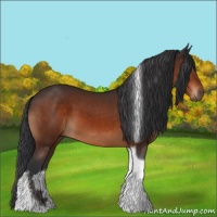 Horse Color:Brown Tobiano