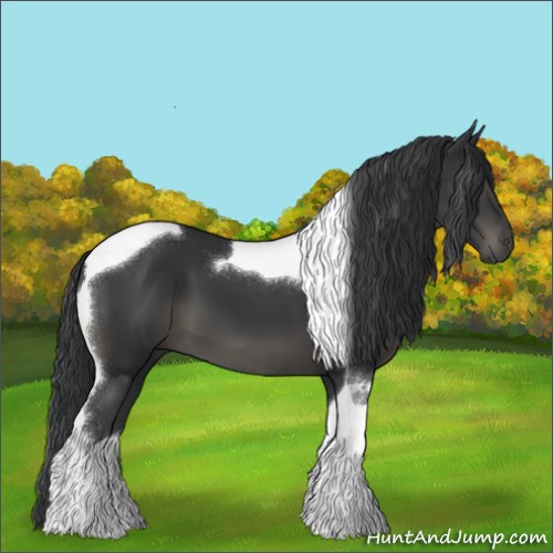 Horse Color:Black Tobiano 