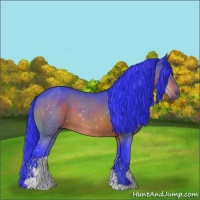 Horse Color:Watercolor Brown Sabino