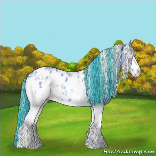 Horse Color:Watercolor White Spotted Classic Champagne Appaloosa 