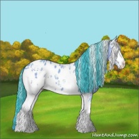 Horse Color:Watercolor White Spotted Classic Champagne Appaloosa 