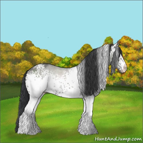 Horse Color:White Spotted Grullo 