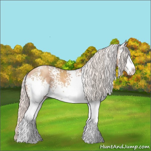 Horse Color:White Spotted Silver Classic Champagne Sabino 