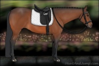 Horse Color:Bay Rabicano 