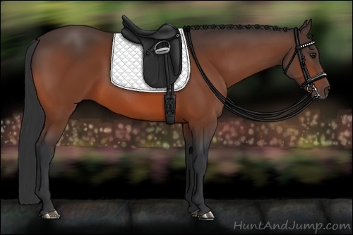 Horse Color:Brown 