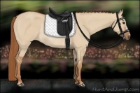 Horse Color:Red Dun Rabicano 