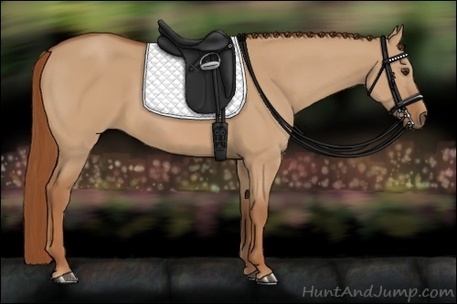 Horse Color:Red Dun 