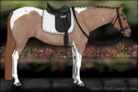 Horse Color:Red Roan Tobiano 