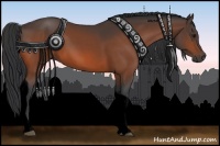 Horse Color:Void Bay Tobiano 