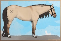 Horse Color:Bay Dun