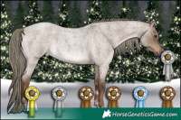 Horse Color:Liver Red Dun Roan Mushroom Rabicano