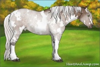 Horse Color:White Spotted Silver Brown Dun Mushroom 