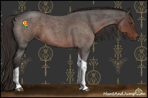 Horse Color:Liver Red Roan Tobiano