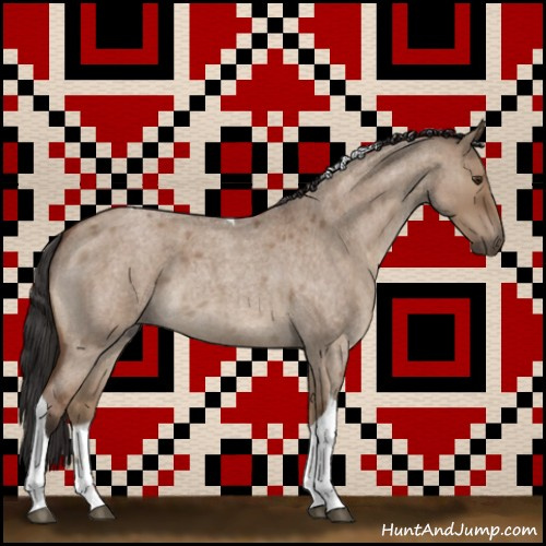 Horse Color:Bay Roan Dun Tobiano