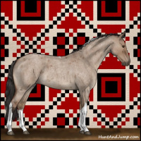 Horse Color:Bay Roan Dun Tobiano 