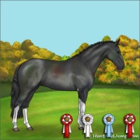 Horse Color:Black Tobiano Rabicano