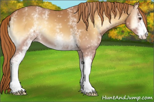 Horse Color:White Spotted Red Onyx Varnish