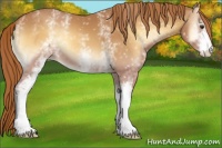Horse Color:White Spotted Red Onyx Varnish 
