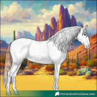 Horse Color:Grullo Tobiano Appaloosa