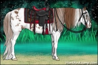 Horse Color:Chestnut Sabino