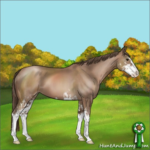 Horse Color:Black Pearl Sabino 