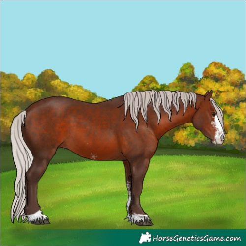 Horse Color:Silver Brown Sabino