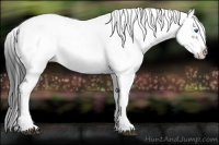 Horse Color:Black Frame 