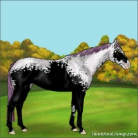 Horse Color:Watercolor White Spotted Liver Red Dun Ice Pearl 