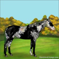 Horse Color:Nacre White Spotted Brown Ice Onyx Snowcap 