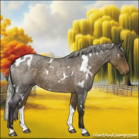 Horse Color:White Spotted Chocolate Palomino Roan 