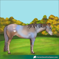 Horse Color:Liver Chestnut Pearl 
