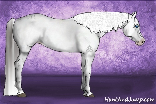 Horse Color:Liver Chestnut Frame 