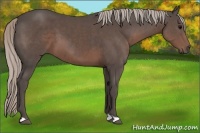 Horse Color:Silver Black 