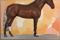 Horse Color:Silver Brown 