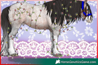 Horse Color:White Spotted Bay Roan Splash 