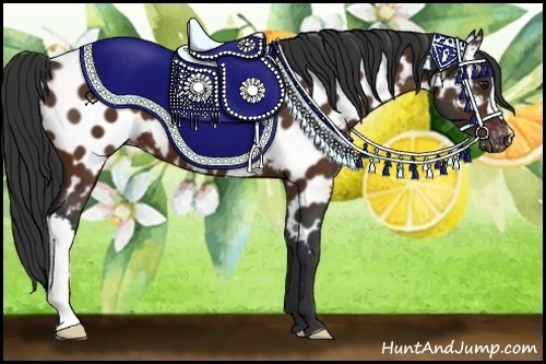 Horse Color:Brown Near Leopard